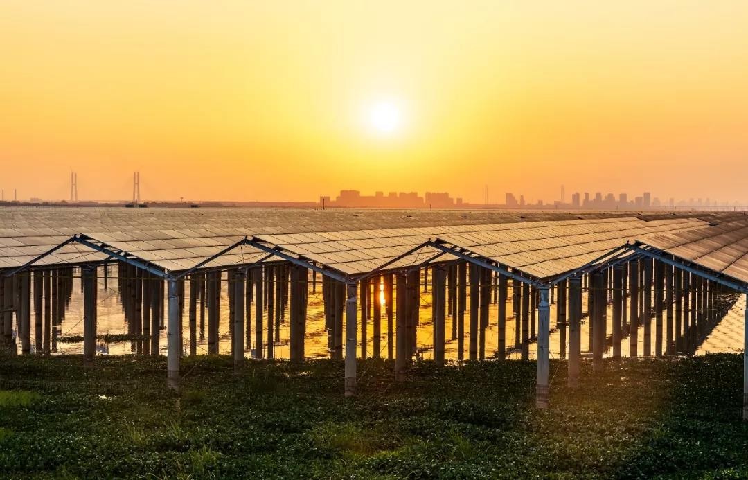 Beyond Success - www.k8.com Achieved a Preferred Scale of 1120 MW in Jiangxi
